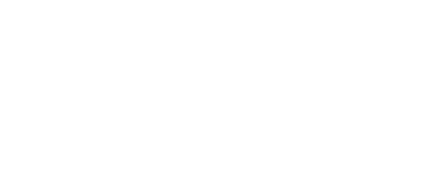 Феникс электрические удлинители логотип